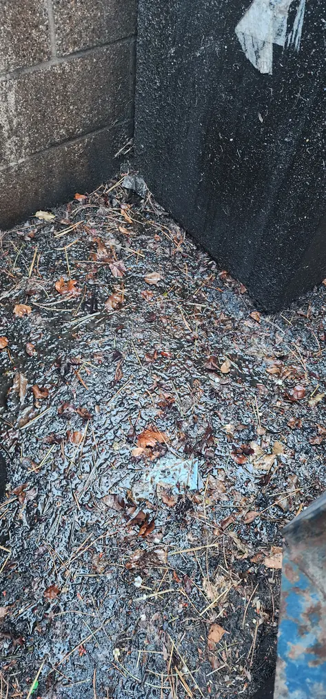 Dumpster pad covered in grease, debris and standing water before cleaning at a restaurant in Bend, Oregon